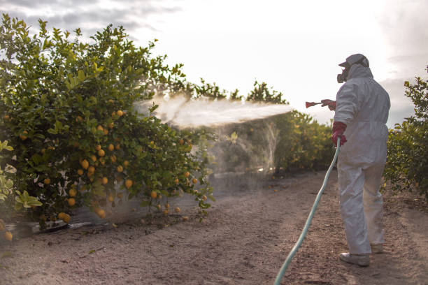 Best Bed Bug Extermination  in Cloverdale, IN