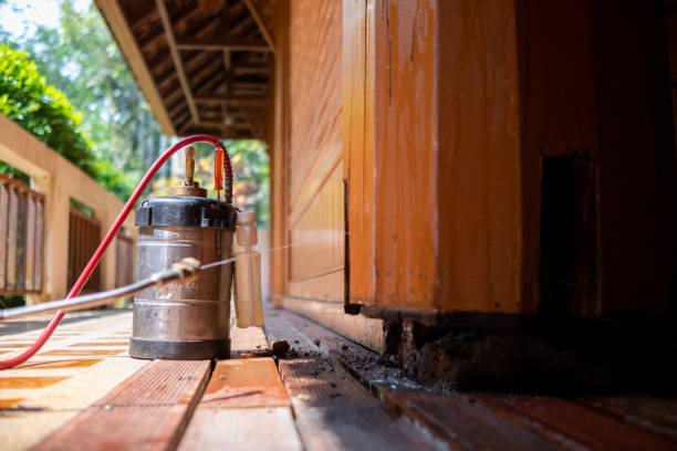 Best Exterminator Services  in Cloverdale, IN