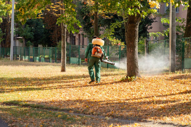 Best Local Pest Control Services  in Cloverdale, IN