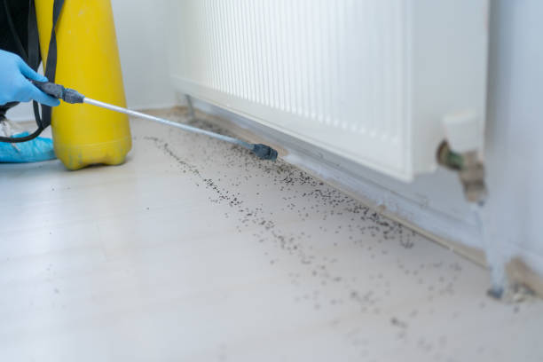 Best Pest Inspection Near Me  in Cloverdale, IN